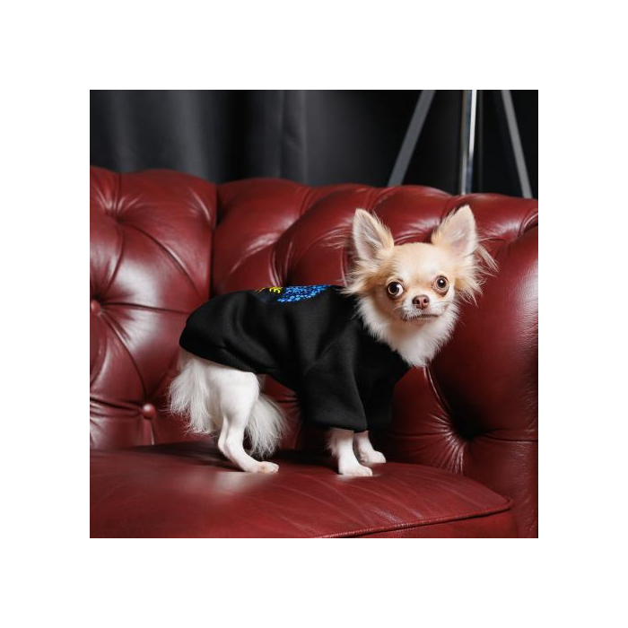 Толстовка Pet Fashion Ukraine для собак, розмір M,чорна