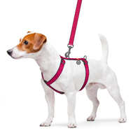 Шлея для собак анатомічна Н-подібна, WAUDOG Nylon з QR-паспортом , малюнок Кавун, пластиковий фастекс, М, Ш 20мм, А 40-70, В 50-80 5561 Collar