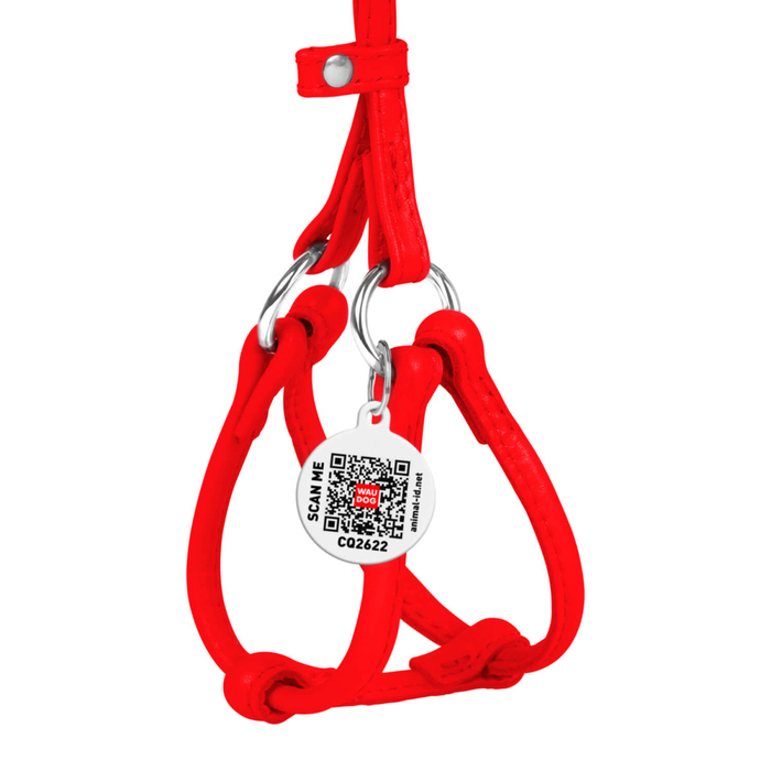 Шлея з повідцем для собак шкіряна WAUDOG Glamour з QR паспортом, кругла, Д 6 мм, А 26-46 см, В 30-50 см червоний 34013 Collar