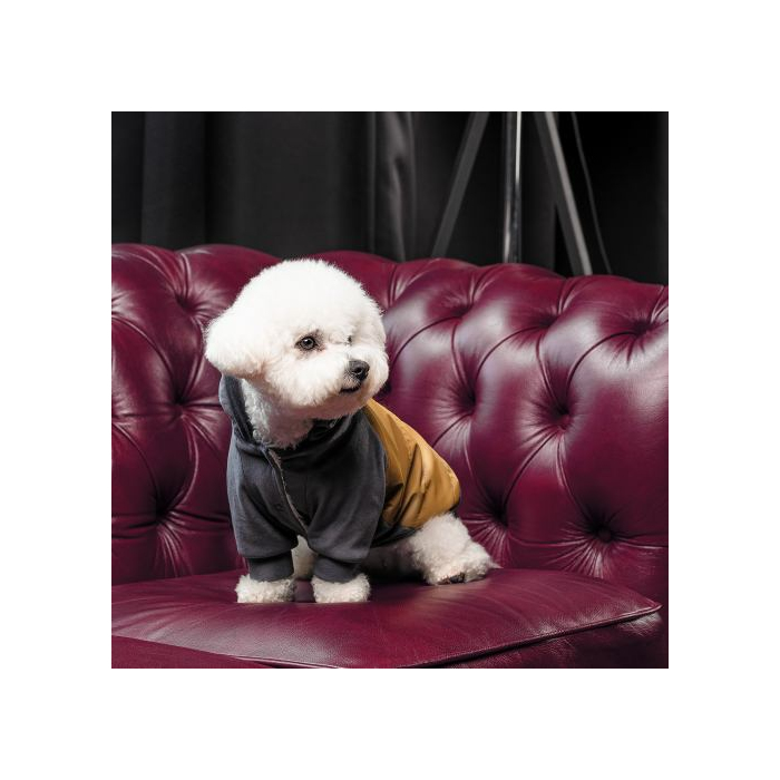 Толстовка Pet Fashion «Rollie» для собак, розмір XXS, бежева/сіра (лімітована серія) PR243149 Pet Feshion