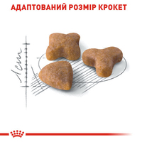 Royal Canin Sensible сухий корм для котів з чутливою системою травлення, 2кг