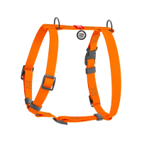 Шлея для собак Н-подібна WAUDOG Waterproof ПОМАРАНЧЕВА (з QR паспортом)