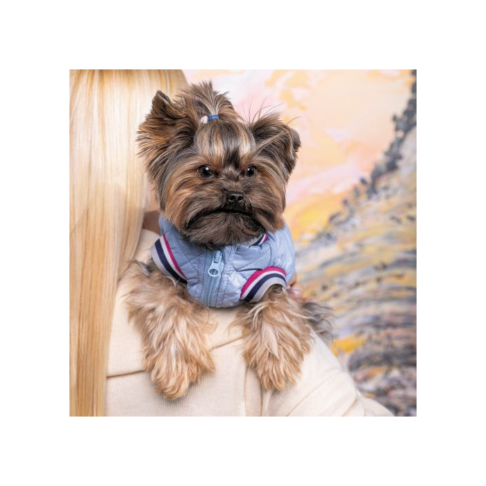 Бомбер Pet Fashion «Spike» для собак, розмір S, блакитний