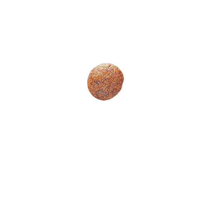 Royal Canin CAT Urinary S/O для котів при захворюваннях сечовивідних шляхів