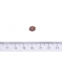 Brit Care DOG Hypoallergenic Adult Small Breed для собак малих порід з ягням, 3 кг