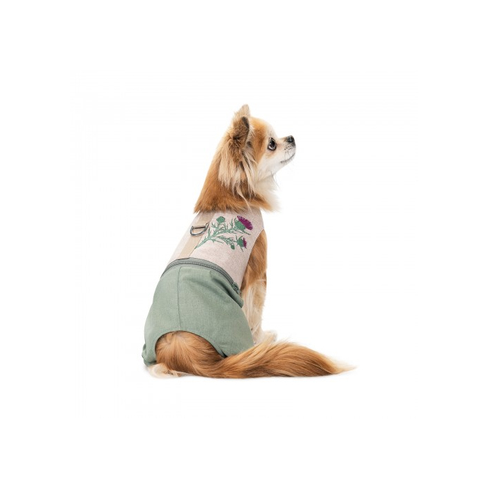 Шлея-костюм Pet Fashion для собак Patrik