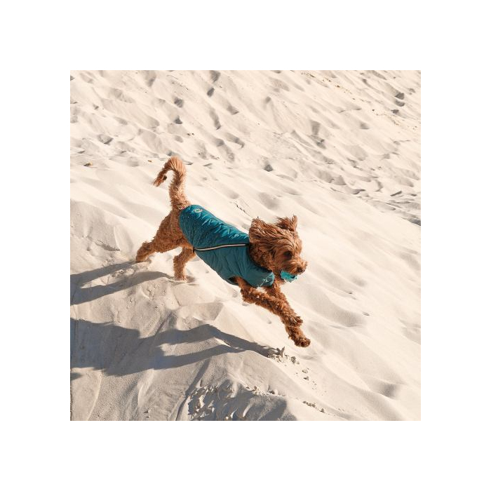 Жилет Pet Fashion «E.Vest» для собак  розмір L морська хвиля