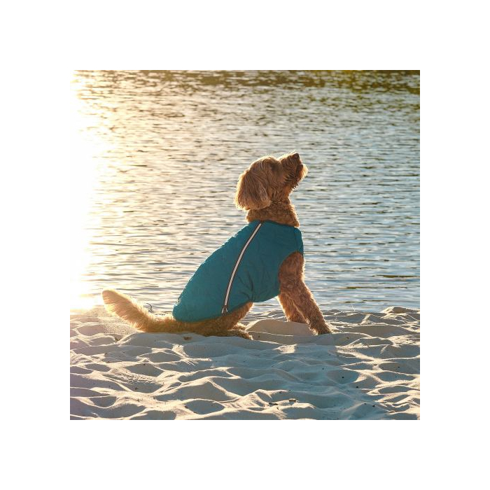 Жилет Pet Fashion «E.Vest» для собак  розмір L морська хвиля