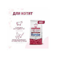 Monge cat kitten with beef