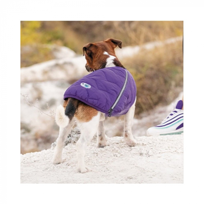 Жилет Pet Fashion «E.Vest» для собак, розмір XL, сірий