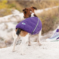 Жилет Pet Fashion «E.Vest» для собак, розмір XL, сірий