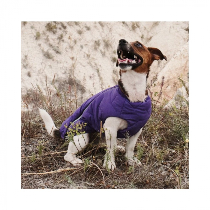Жилет Pet Fashion «E.Vest» для собак, розмір XL, сірий