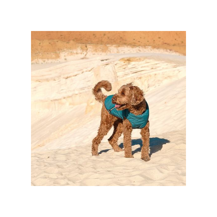 Жилет Pet Fashion «E.Vest» для собак  розмір L морська хвиля