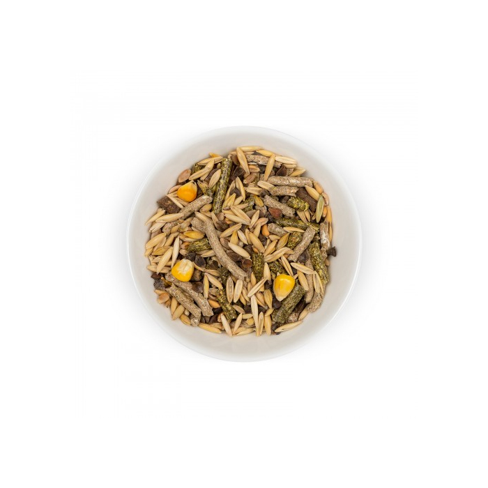 Природа Шиншилка для шиншил