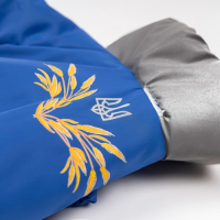 Костюм Pet Fashion Zhan для собак розмір M блакитний