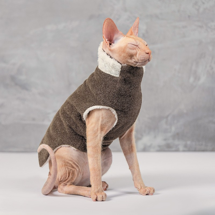 Светр для котів Pet Fashion «Cat» ХXS (сірий) 242233 Pet Feshion