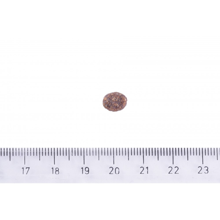 Brit Care DOG Sustainable Adult Small Breed для собак малих порід, з куркою та комахами, 3 кг