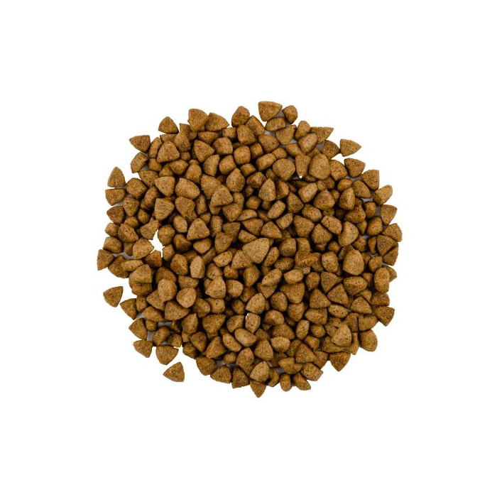 Savory CAT Steril Fresh Lamb and Chicken