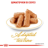 Royal Canin British Shorthair Adult вологий корм у соусі для котів британська короткошерста, пауч 85г 2032001 Royal Canin