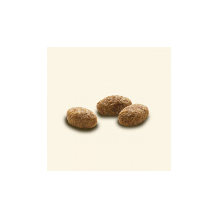 Cat Chow Special Care Urinary Tract Health з куркою для підтримки сечової системи, 15кг