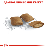 Royal Canin CAT Ageing 12+ для котів старших 12 років