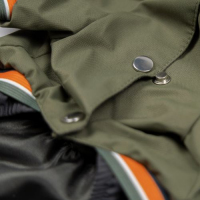 Дощовик Pet Fashion «Jimi» для собак, розмір XS, зелений