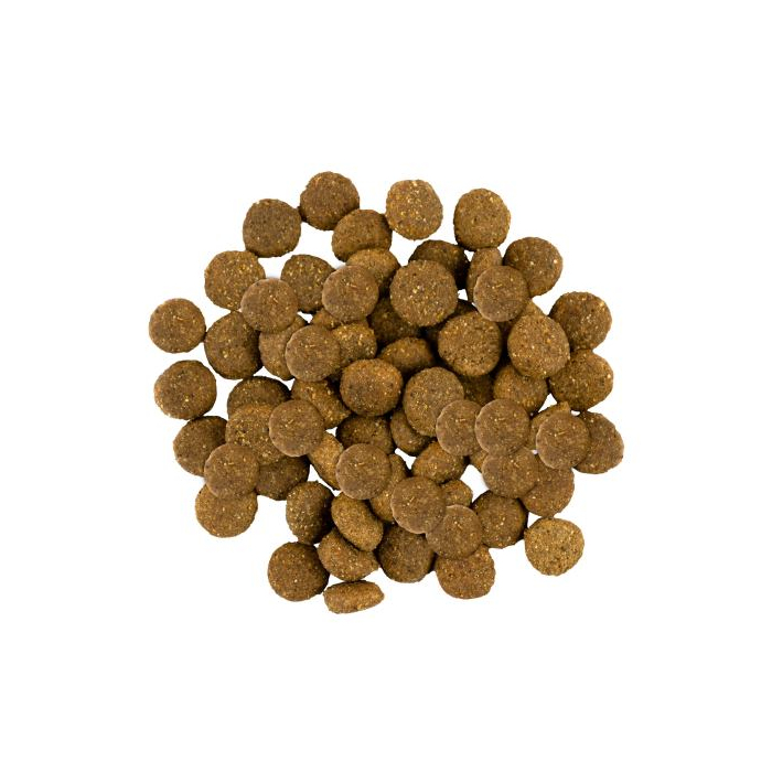 Корм Savory Junior Large rich in Fresh Turkey and Chicken