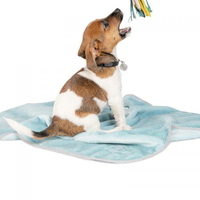 Плед Pet Fashion Bliss м'ята для собак та цуценят 77х100см