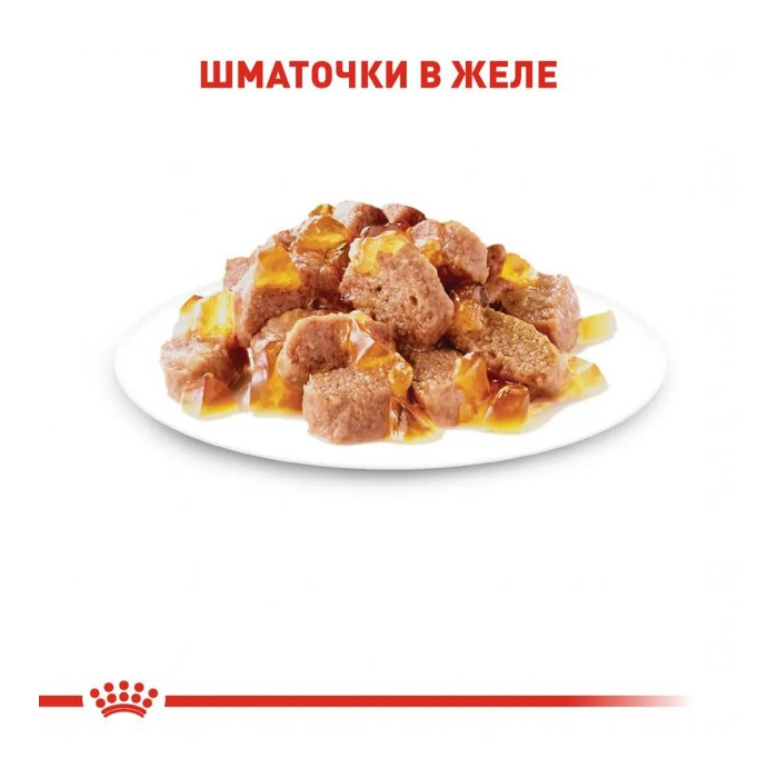 Royal Canin Intense Beauty In Jelly CAT pouch