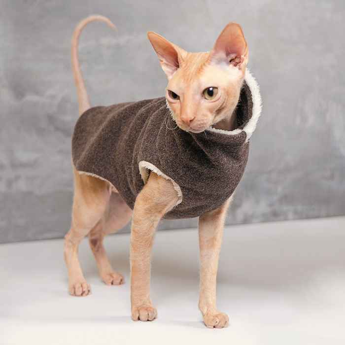 Светр для котів Pet Fashion «Cat» ХXS (сірий) 242233 Pet Feshion