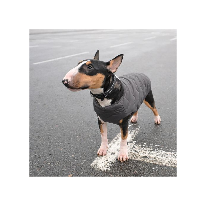 Жилет Pet Fashion «E.Vest» для собак, розмір XL, сірий