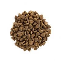 Сухий корм Brit Care CAT GF Adult Activity Support для котів які живуть на вулиці індичка та курка