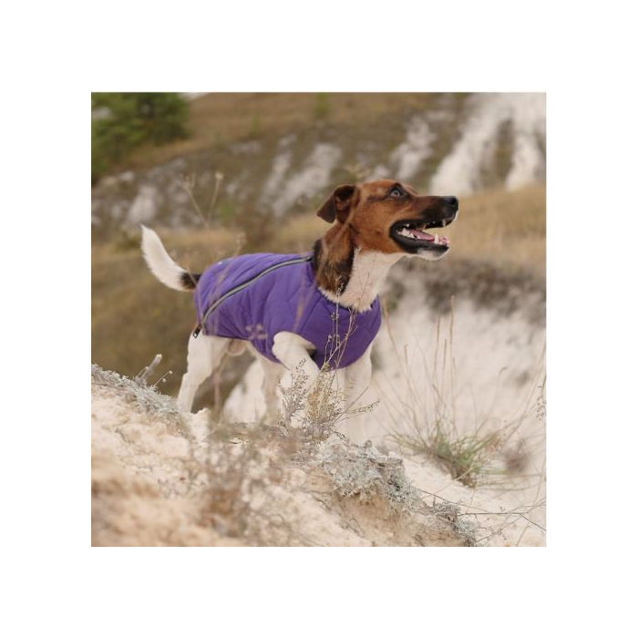Жилет Pet Fashion «E.Vest» для собак, розмір XL, сірий