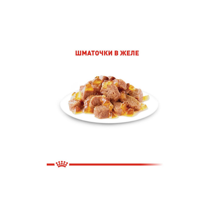 Royal Canin Instinctive wet in jelly 9+3 вологий корм, тонкі шматочки в желе, для дорослих котів, пауч 85г*12шт 11488 Royal Canin