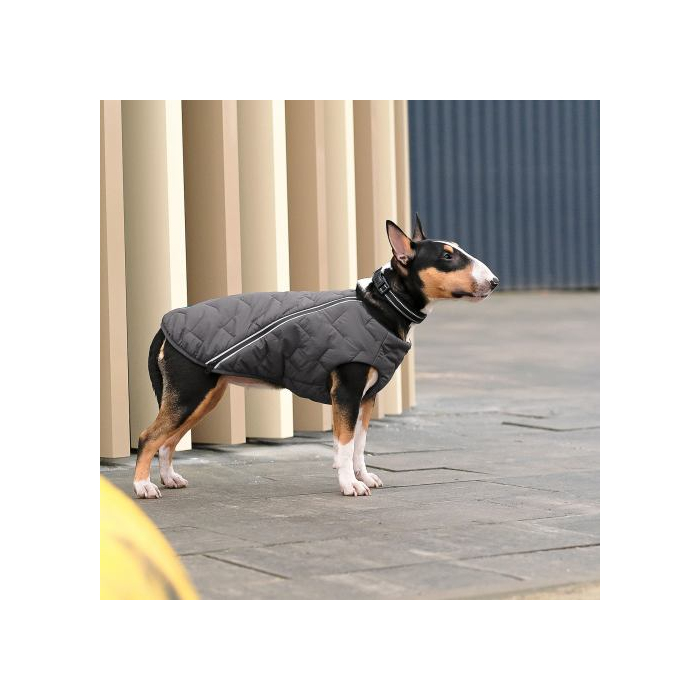Жилет Pet Fashion «E.Vest» для собак, розмір XL, сірий