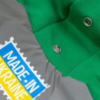 Костюм Pet Fashion Leaf зелений для собак розмір XS2