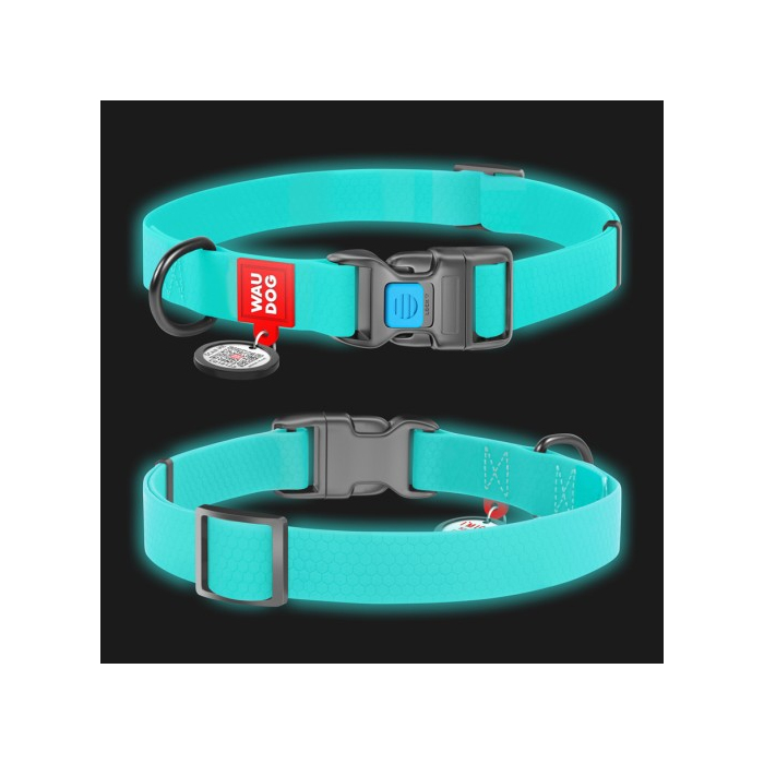Нашийник для собак водостійкий WAUDOG Waterproof c QR паспортом, світонакоплювальний, пластикова пряжка-фастекс, Ш 25 мм, Дов 34-49 см 2776 Collar