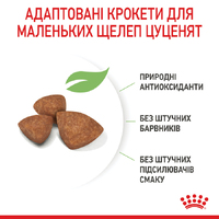 Royal Canin DOG Puppy X-small для цуценят мініатюрних порід 0,5кг