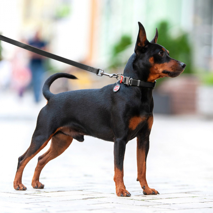 Нашийник для собак водостійкий WAUDOG Waterproof, металева пряжка-фастекс, чорний, розмір M (28-40 см), ширина 20 мм