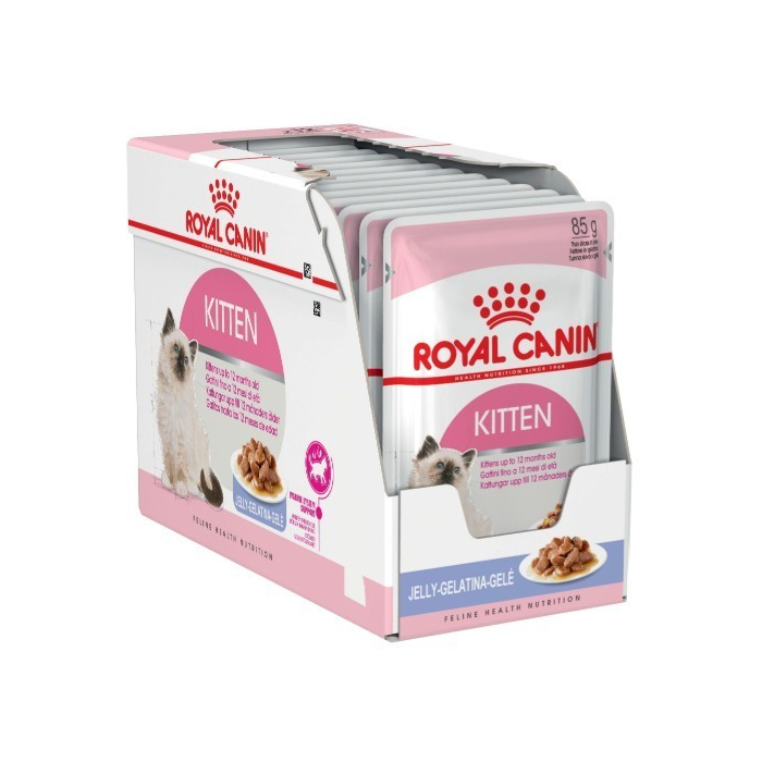 Royal Canin FHN WET Kitten inst in jelly