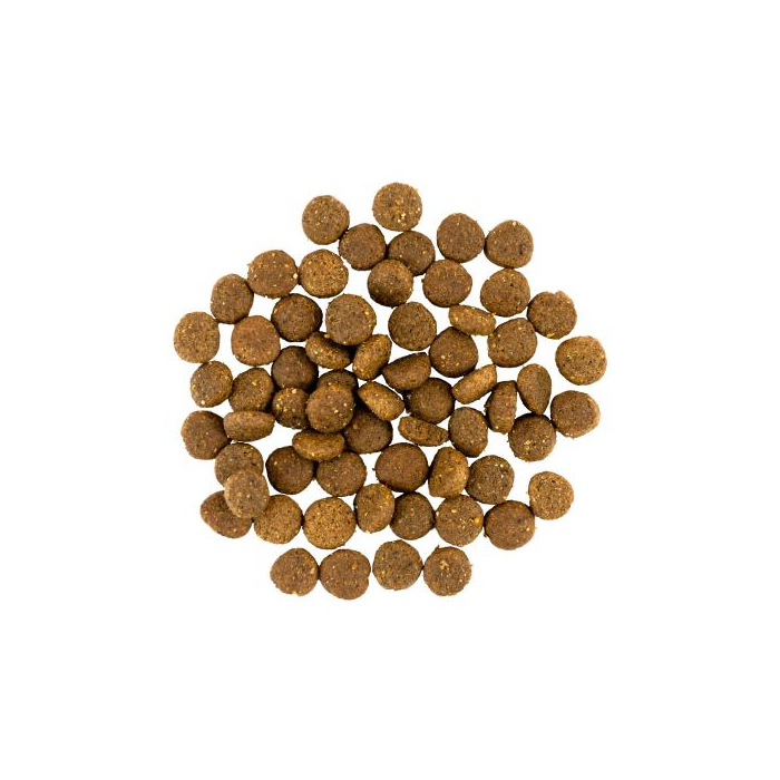 Savory Puppy rich in Fresh Turkey and Chicken