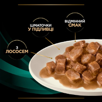 ProPlan CAT Pouch VD EN Gastrointestinal для котів при порушеннях травлення з лососем