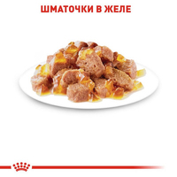 Royal Canin Instinctive wet in jelly 9+3 вологий корм, тонкі шматочки в желе, для дорослих котів, пауч 85г*12шт 11488 Royal Canin