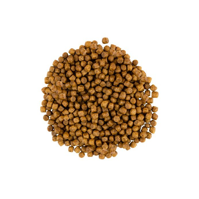 Сухий Корм Savory Kitten Chicken with Fresh Turkey