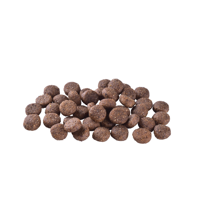 Сухий корм Brit Care DOG Grain-free Adult Salmon для собак малих і середніх порід з лососем