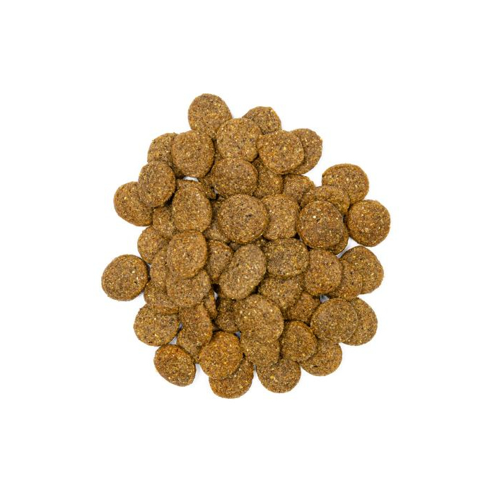 Profine DOG Adult Large для дорослих собак великих порід з куркою та картоплею, 3 кг