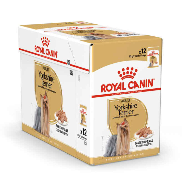 BHN WET Yorkshire AD 9+3