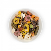 Природа Фієста Морська свинка для морських свинок