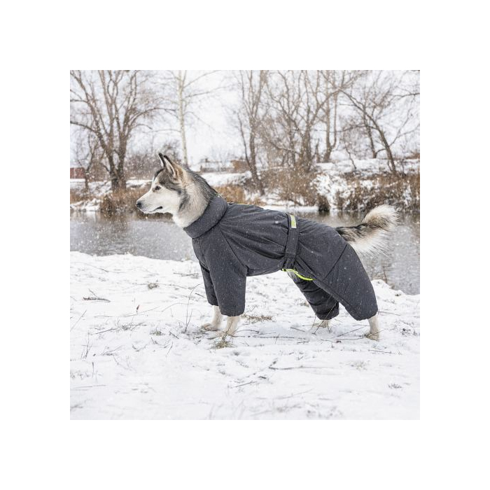 Комбінезон Pet Fashion Cold сірий для собак розмір M2