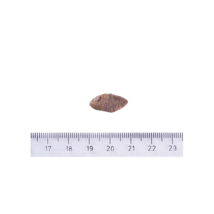 Brit Care DOG Sustainable Sensitive